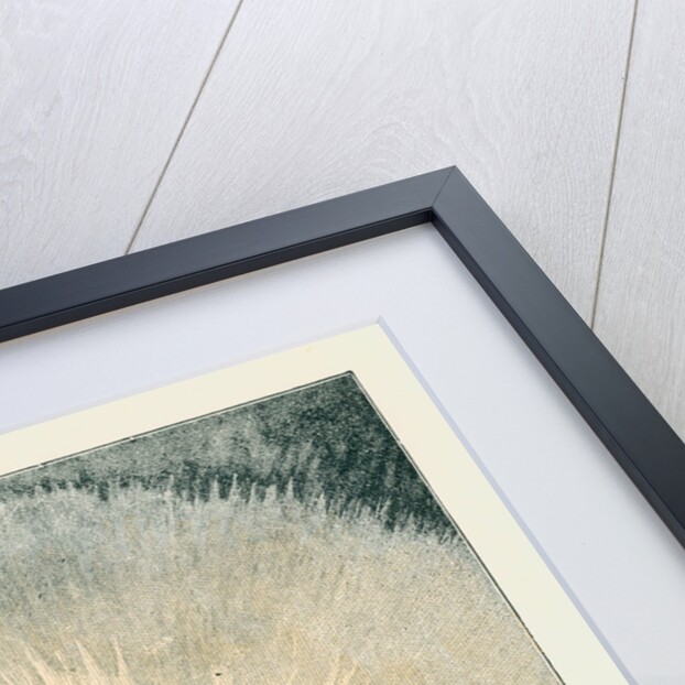 Solar corona and prominences by Anonymous