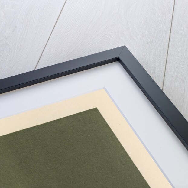 'The planet Saturn (in 1872)' by Cassell & Co