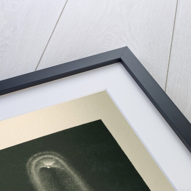 'Coggia's comet..' by Cassell & Co