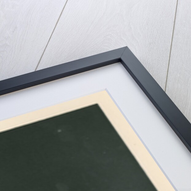 'The comet of 1882 as seen from Streatham' by Cassell & Co