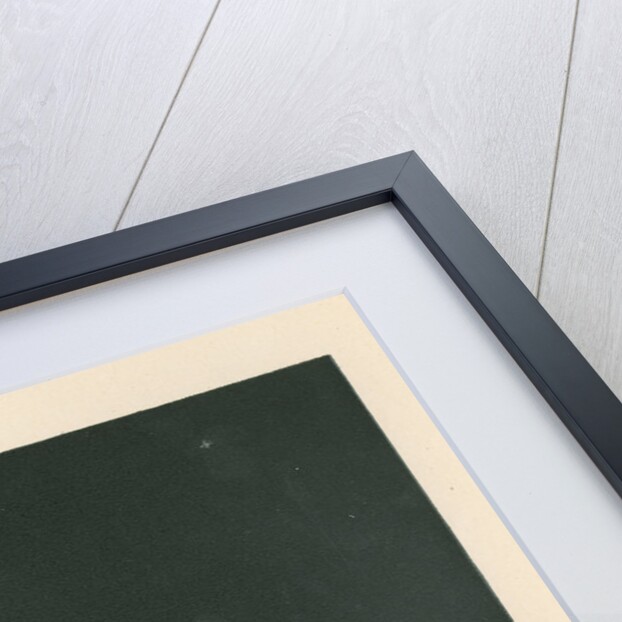 'The comet of 1882 as seen from Streatham' by Cassell & Co