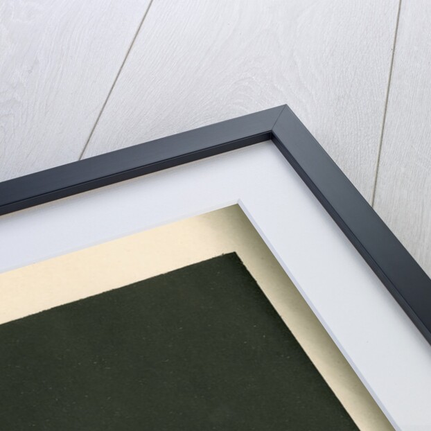 The sun showing spots, faculae, chromosphere, and prominences by Cassell & Co