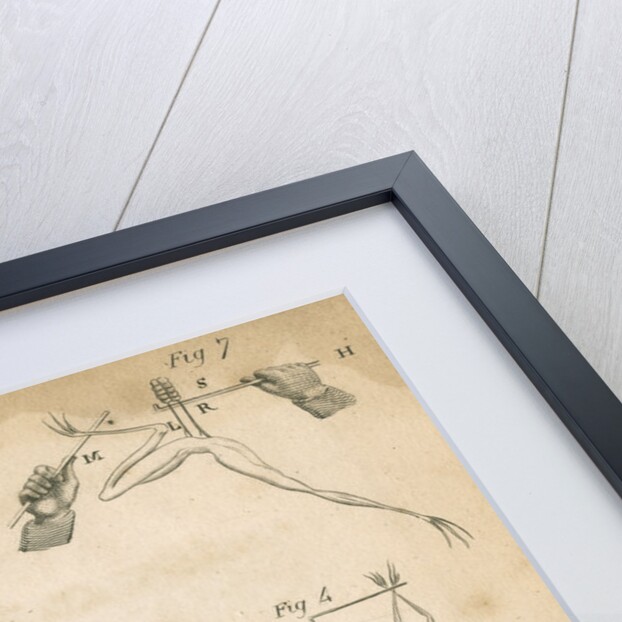 Experiments on galvanism with frogs by Anonymous