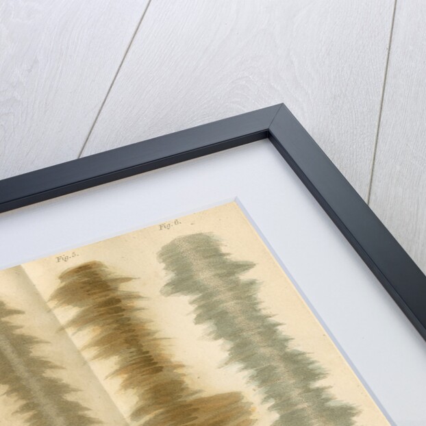 Metallic oxide tints by Anonymous