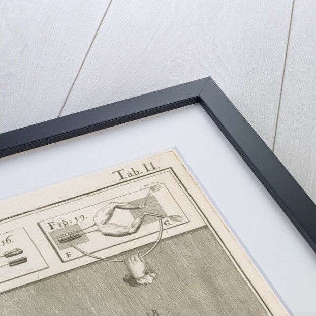 Galvani's electrical experiments on frogs legs by Anonymous