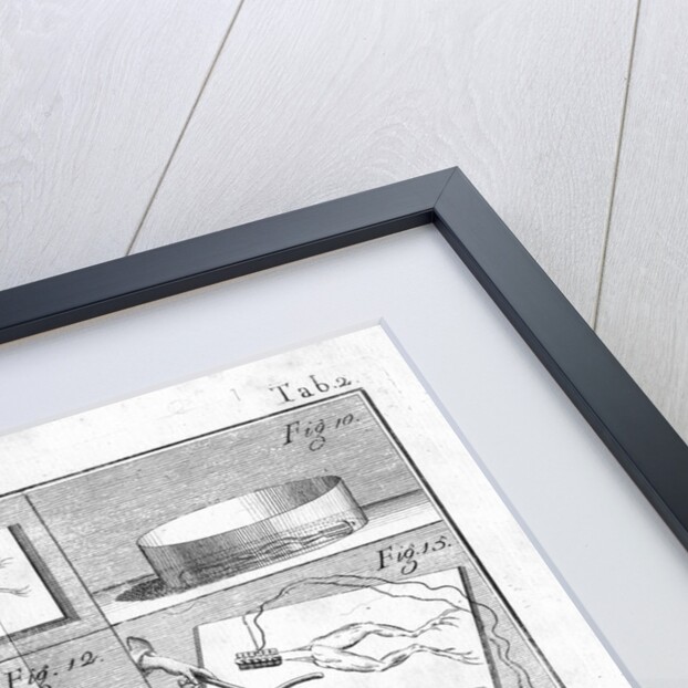 Aldini's experiments on Galvanism with frogs legs by Anonymous