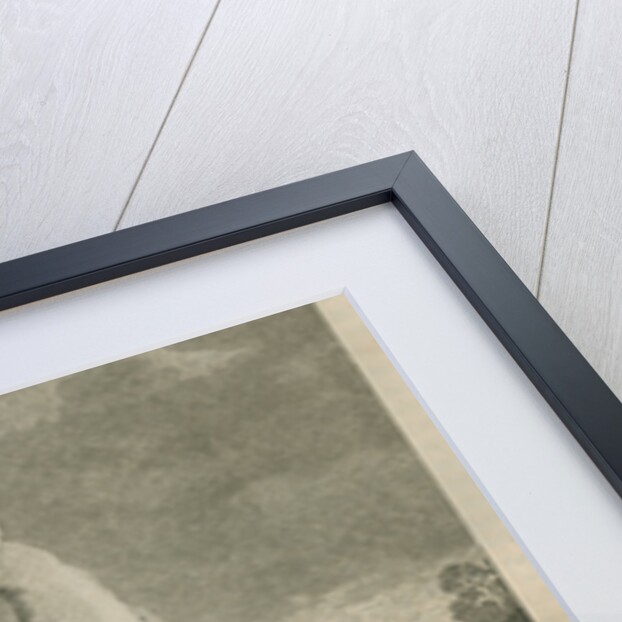 Sighting of a kangaroo by James Cook by Anonymous