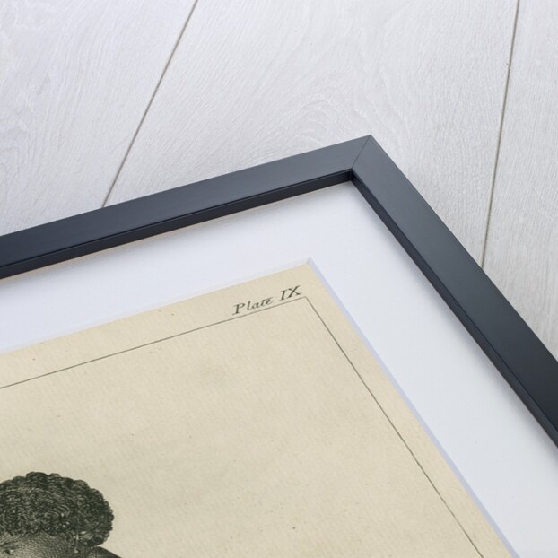 'The Lad Taiyota, Native of Otaheite, in the Dress of his Country' by Richard Bernard Godfrey