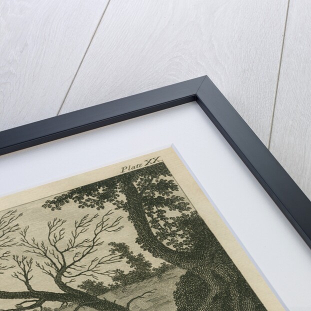 '...curious arched Rock, having a River running under it, in Tolago Bay.' by James Newton