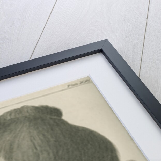 'Head of Otegoowgoow, Son of a New Zealand Chief...' by Thomas Chambers