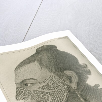 'Head of Otegoowgoow, Son of a New Zealand Chief...' by Thomas Chambers