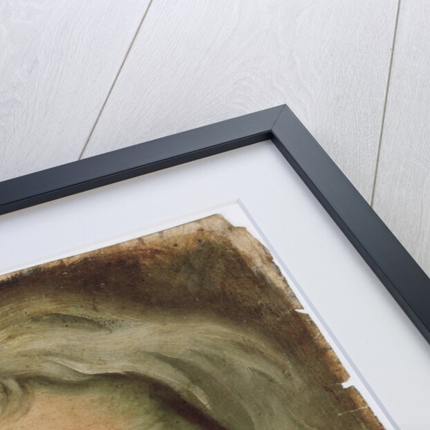 Portrait of Isaac Newton (1642-1727) by John Vanderbank