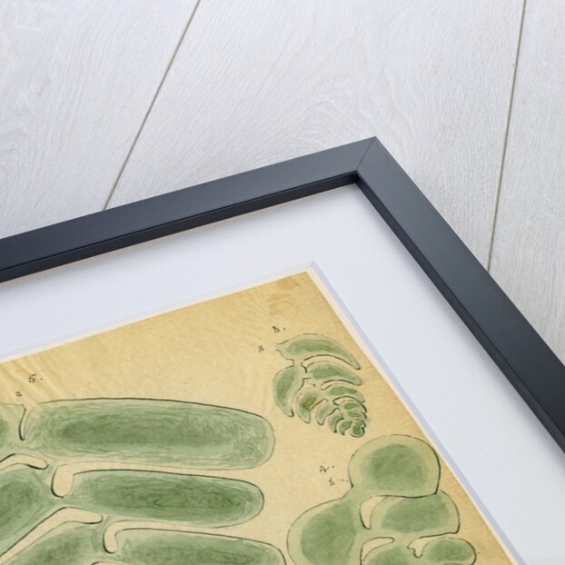 Textilarinen..Uvellinen..Helicotrochinen [specimens of foraminifera] by Henry Bowman Brady