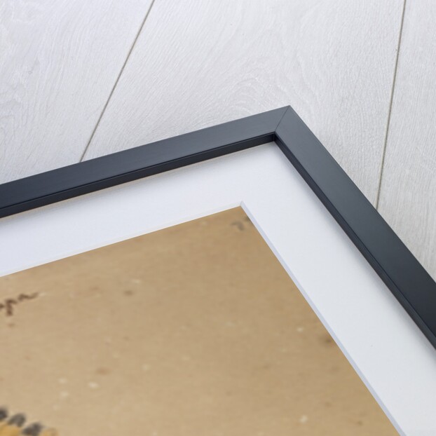 Hoopoe bird by Henry Hunt