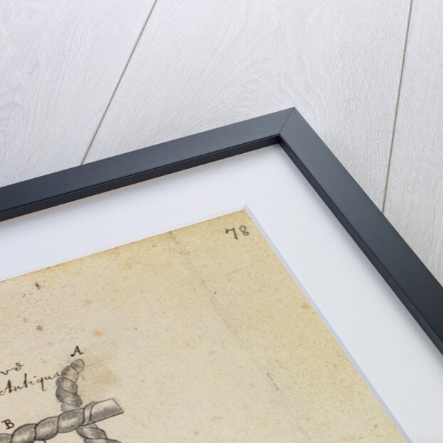 Ancient lyre and tortoise by Thomas Molyneux