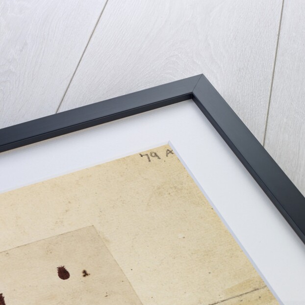 Polish cochineal insects by James Mynde