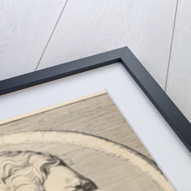 Portrait of Isaac Newton (1642-1727) by William Hoare