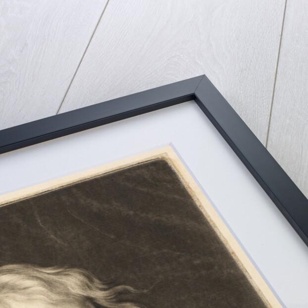 Portrait of Isaac Newton (1642-1727) by James McArdell