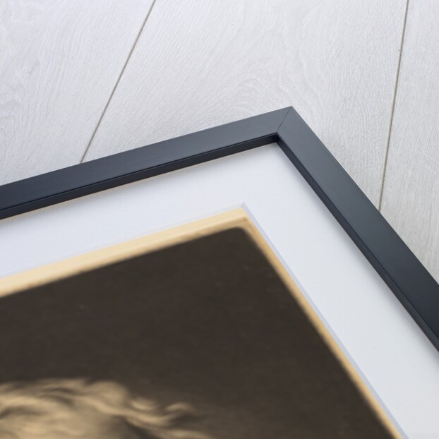 Portrait of Isaac Newton (1642-1727) by James McArdell