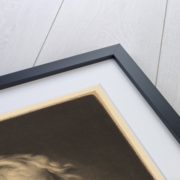 Portrait of Isaac Newton (1642-1727) by James McArdell