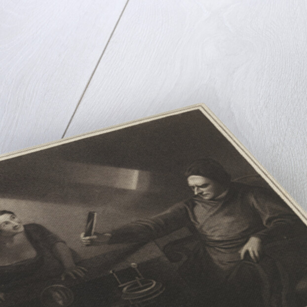 'Newton with the Prism' by James Meadows