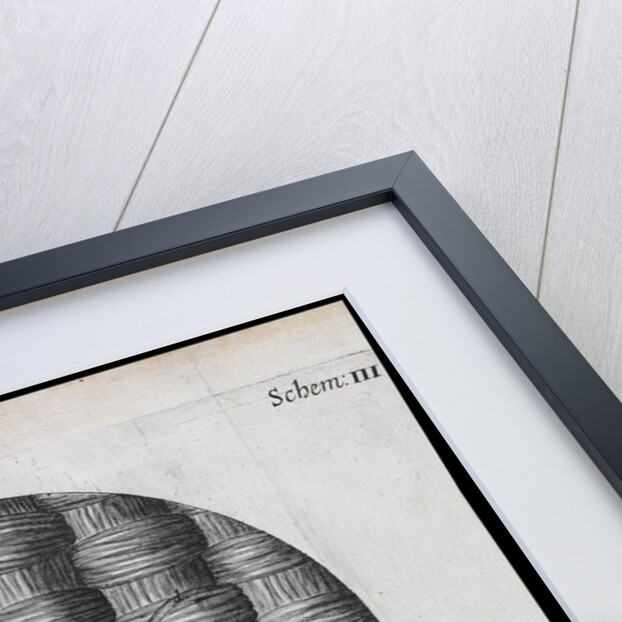Microscopic view of silk and taffeta by Robert Hooke