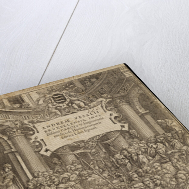 Title page of 'De humani corporis fabrica' by Studio of Titian