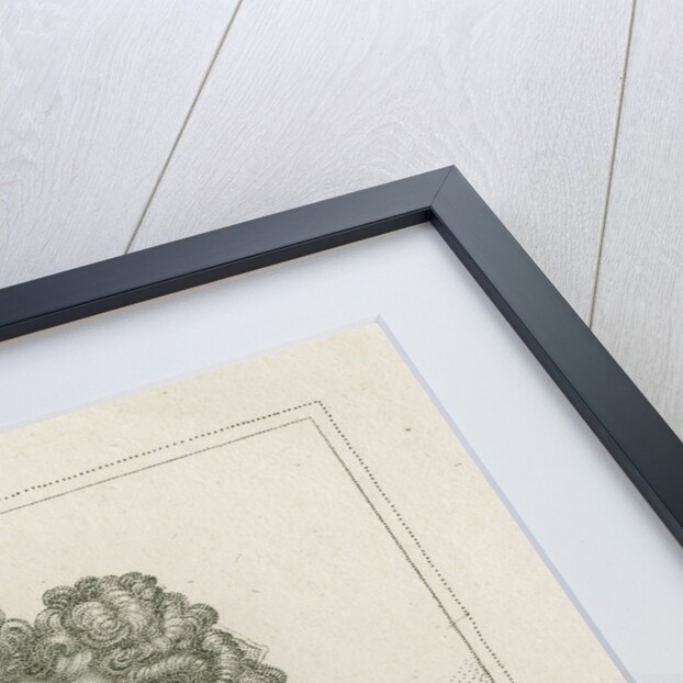 Portrait of John Fortescue Aland (1670-1746) by Sylvester Harding