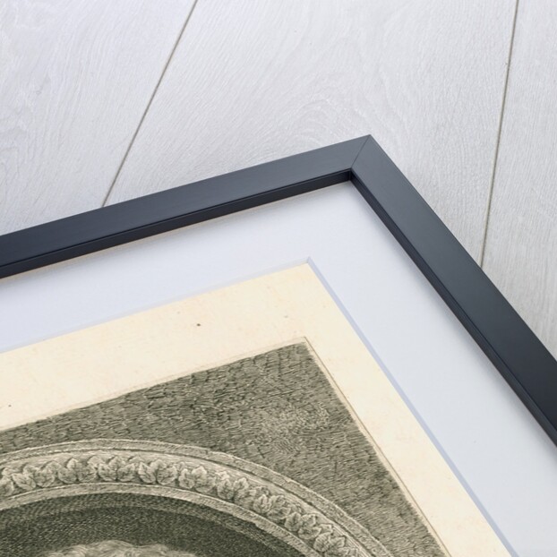 Portrait of Francesco Algarotti (1712-1764) by Georg Friedrich Schmidt