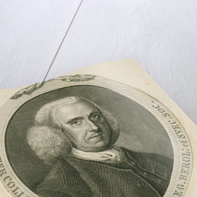 Portrait of Peter Collinson (1694-1768) by Anonymous