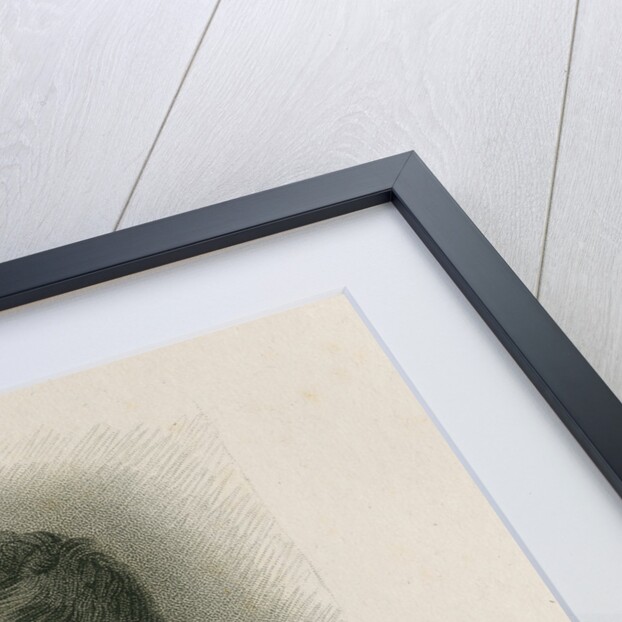 Portrait of Hudson Gurney (1775-1864) by John Cochran