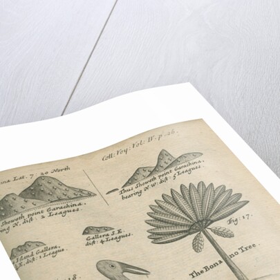 Landmarks and wildlife of Panama, observed by William Funnell by Anonymous