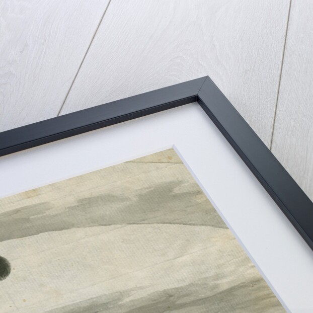 Ingress of Venus and "Black drop" effect during the 1769 Transit of Venus by William Hirst