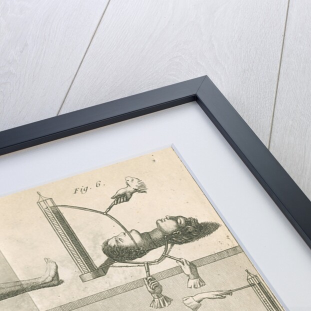 Aldini's galvanic experiments by G.M.