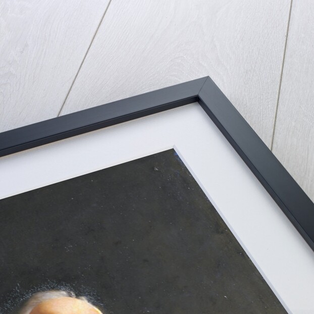 Portrait of David Gill (1843-1914) by George Henry