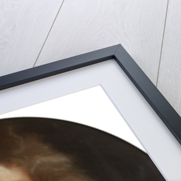 Portrait of Richard Waller (1655-1715) by Thomas Murray