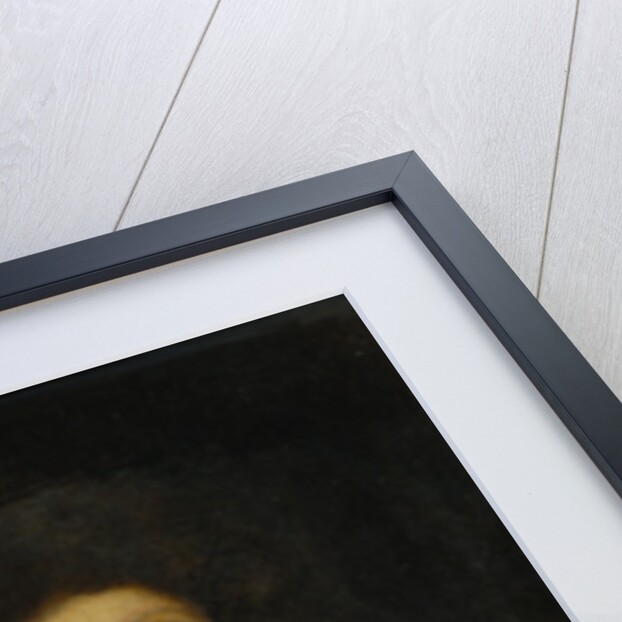 Portrait of Johann Christoph Sturm (1635-1703) by Heyman Dullaert