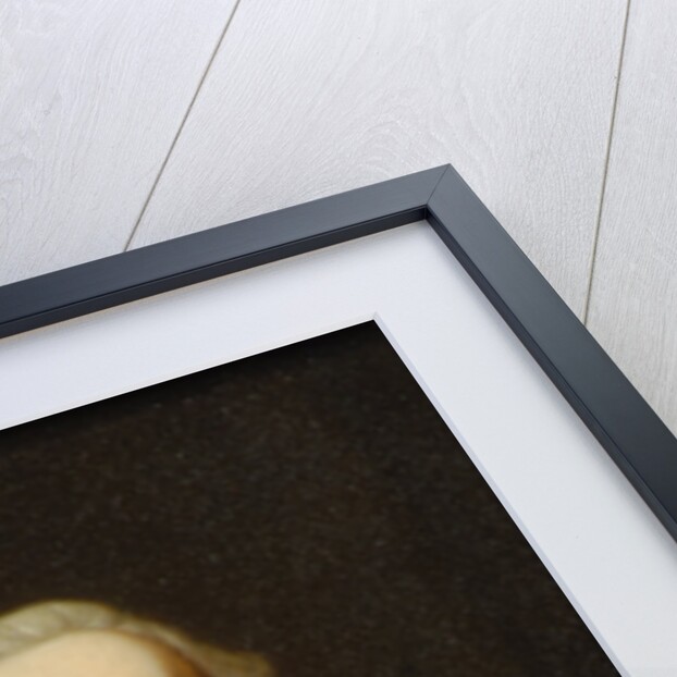 Portrait of John Dollond (1706-1761) by William Frederick Witherington