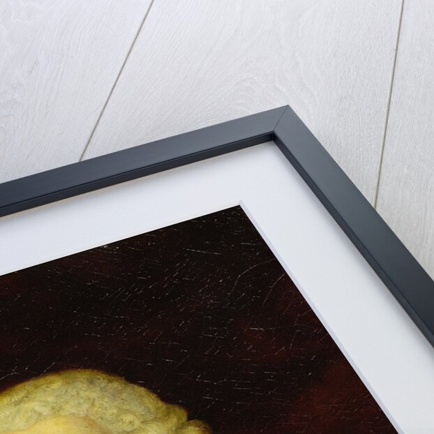 Portrait of Joseph Priestley (1733-1804) by unknown