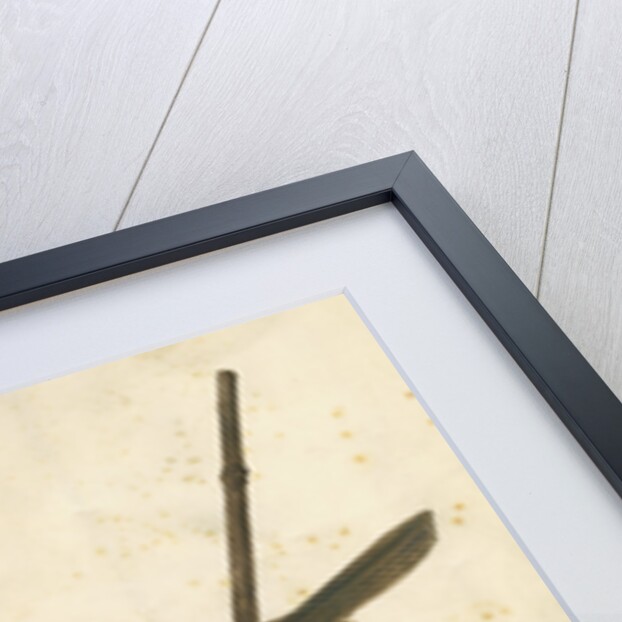 Great Reed Warbler and its nest by Anonymous