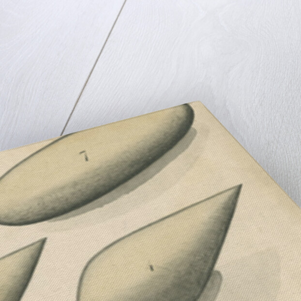 Studies of hydrodynamic shapes by Mark Beaufoy