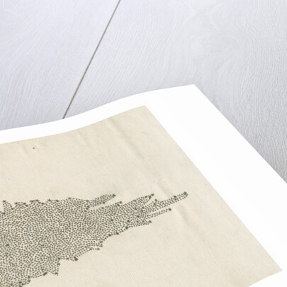 Structure of the Milky Way galaxy by William Herschel