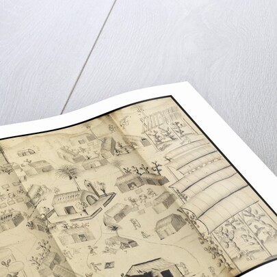 Cochineal production at the town of Guaspaltepeque by William Houstoun