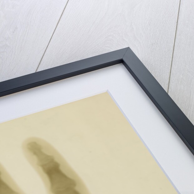 X-ray photograph of the hand of Arthur James Balfour by Alan Archibald Campbell Swinton
