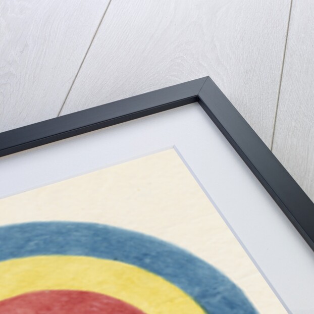 Roundel for use in optical experiments by Robert Waring Darwin