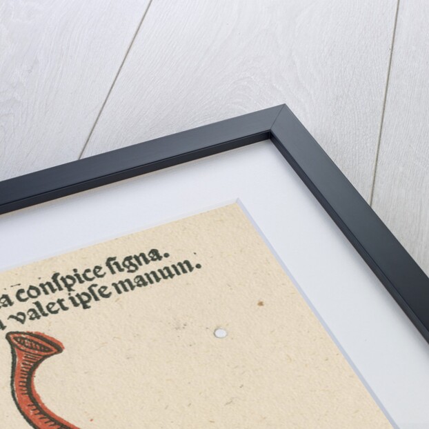 Coat of arms from 'Cocordatia astronomie cu theologia' by Anonymous