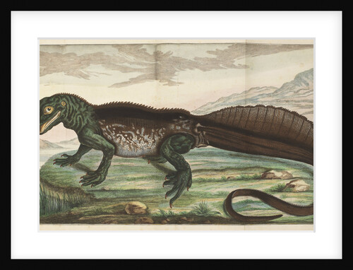 Sailfin lizard by Simon Fokke