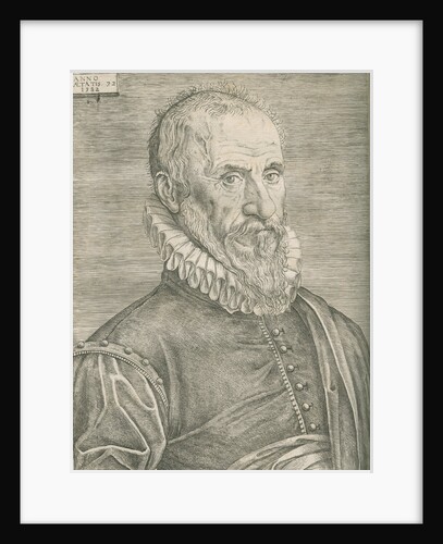 Portrait of Ambroise ParÃš (1505-1590) by Anonymous