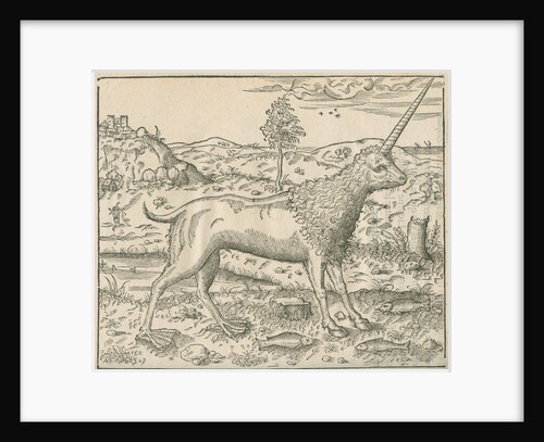 'Figure du Camphur' by Anonymous