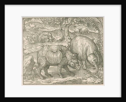 'Figure du combat du Rhinoceros contre l'Elephant' by unknown